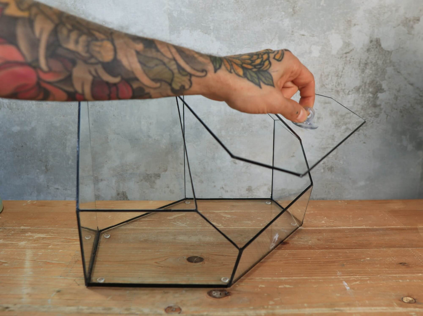 Zircon – Handmade geometric Terrarium
