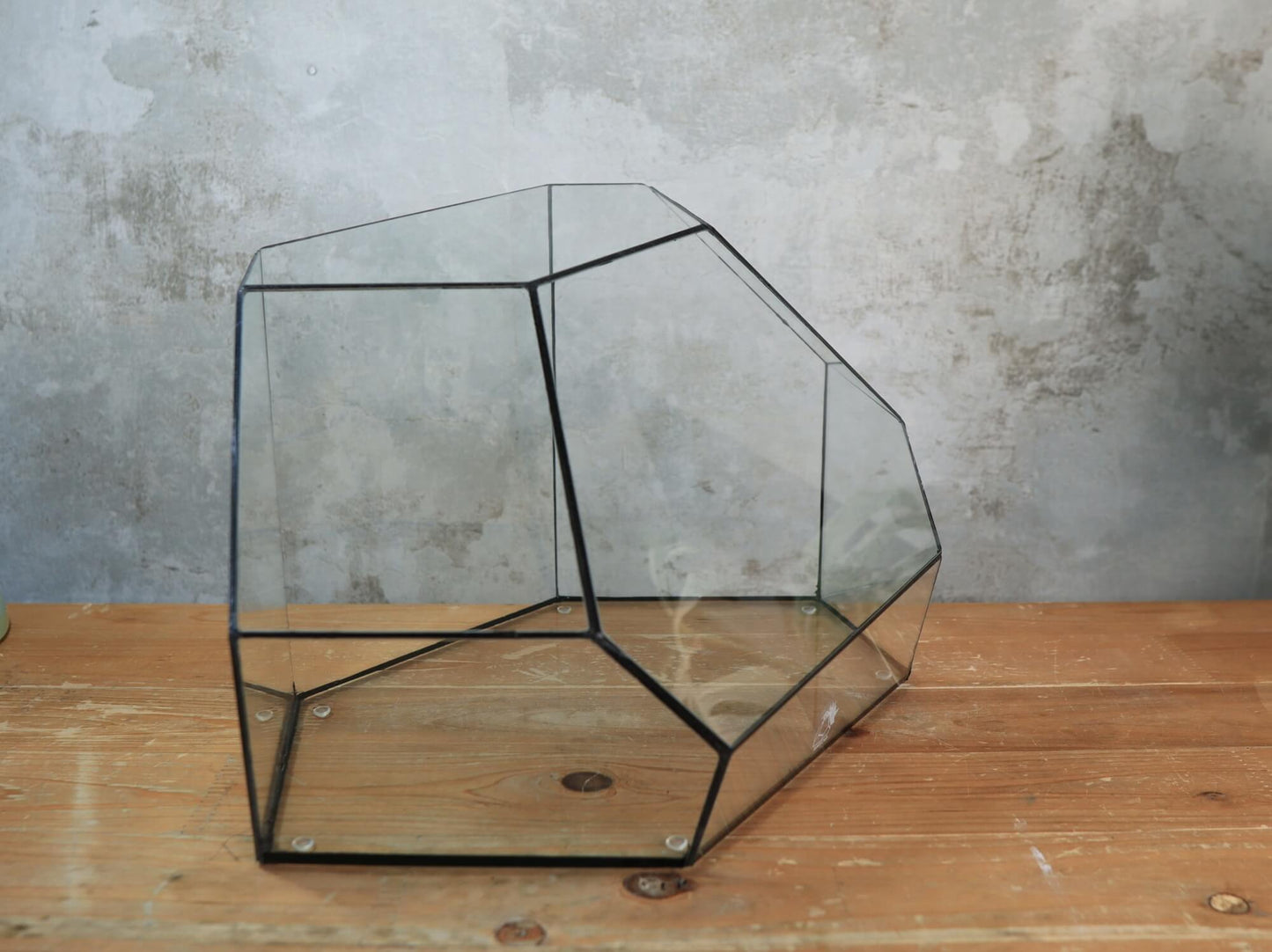 Zircon – Handmade geometric Terrarium