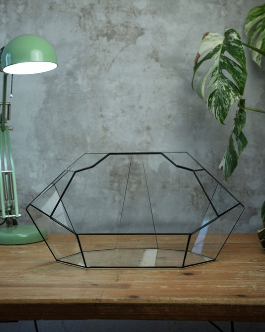 Ruby - Open front terrarium
