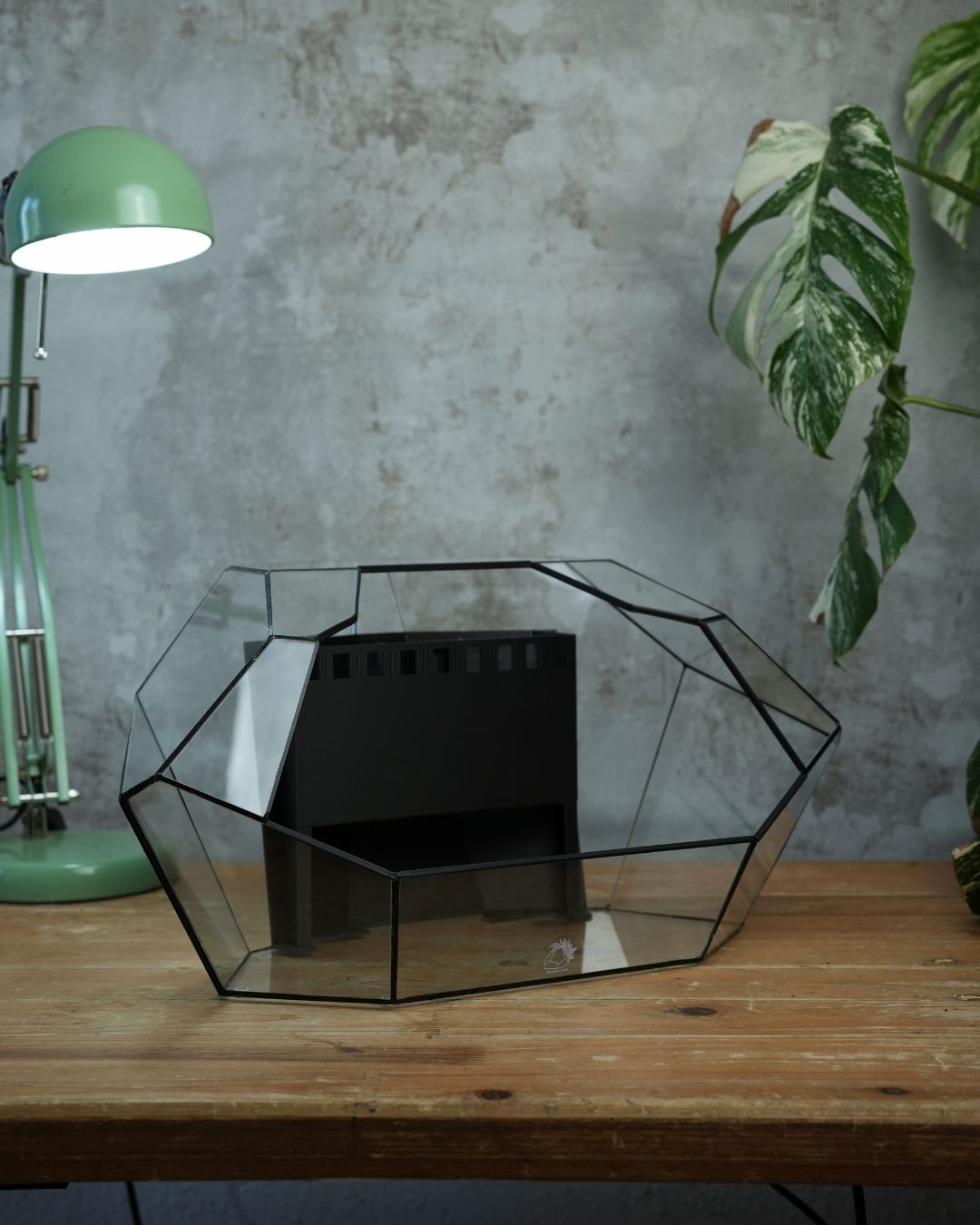 Ruby - Open front terrarium