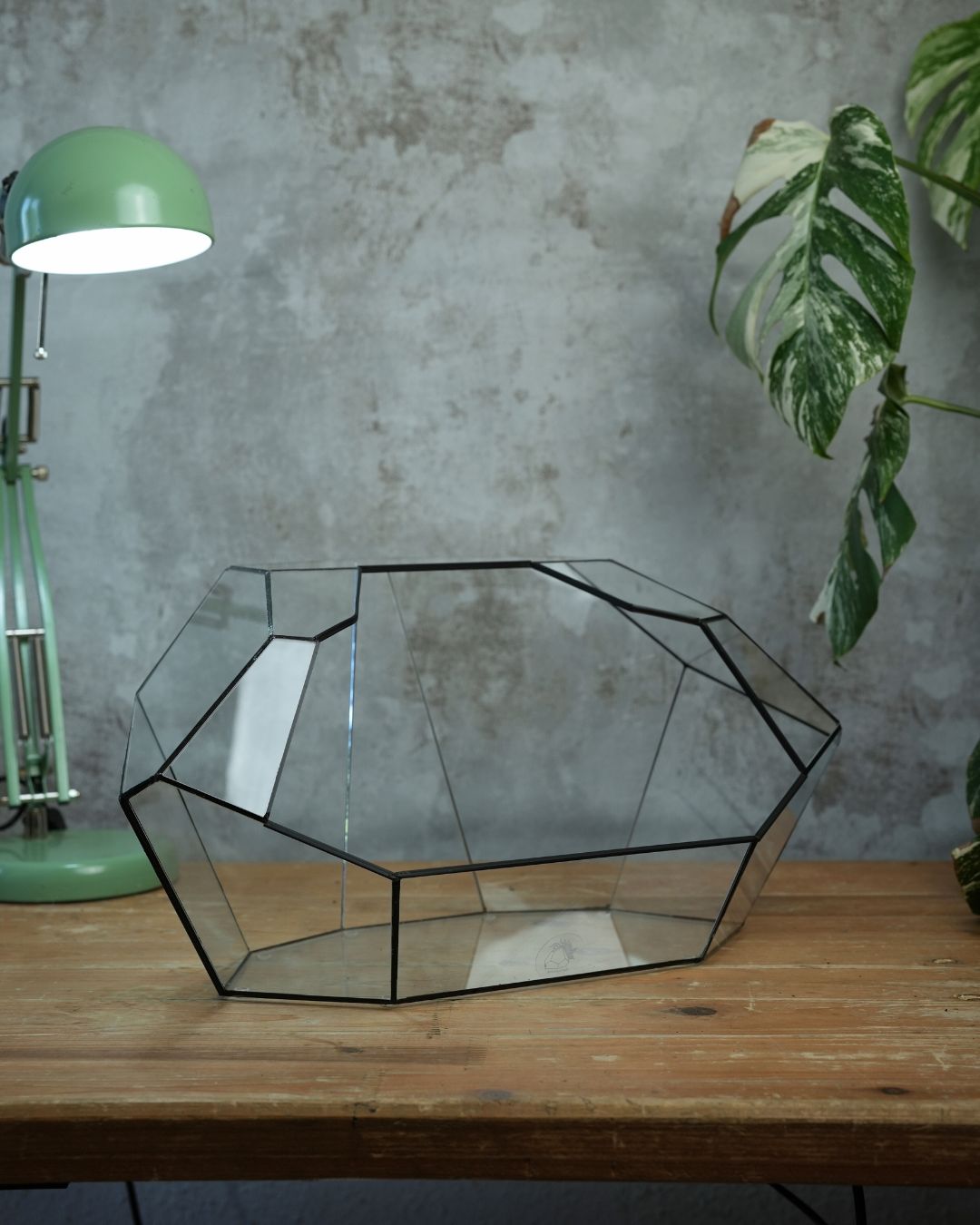 Ruby - Open front terrarium