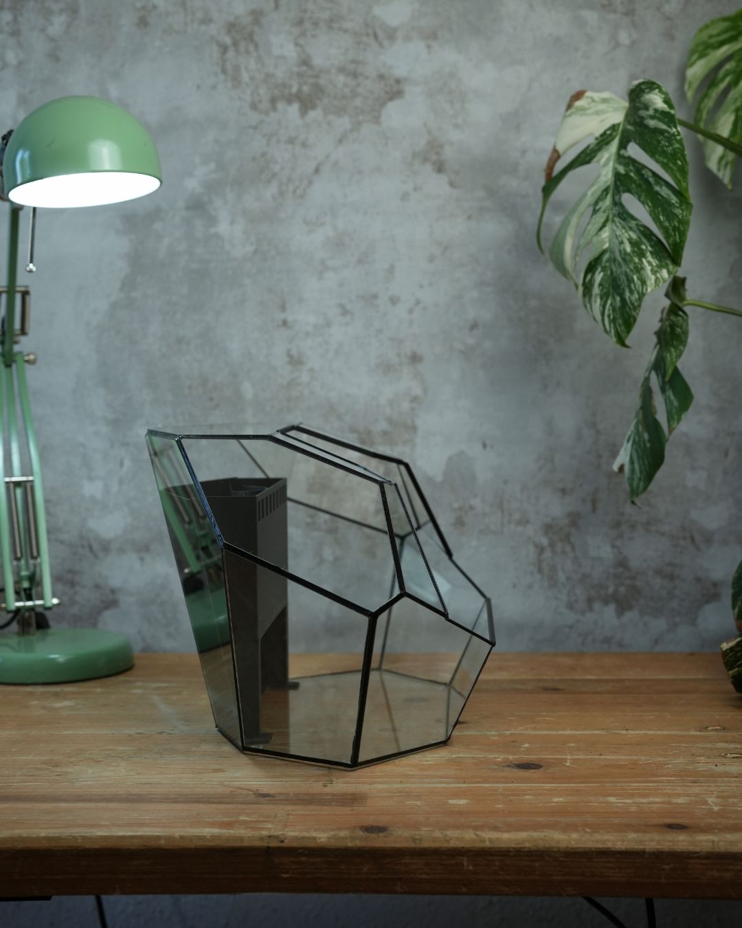 Ruby - Open front terrarium