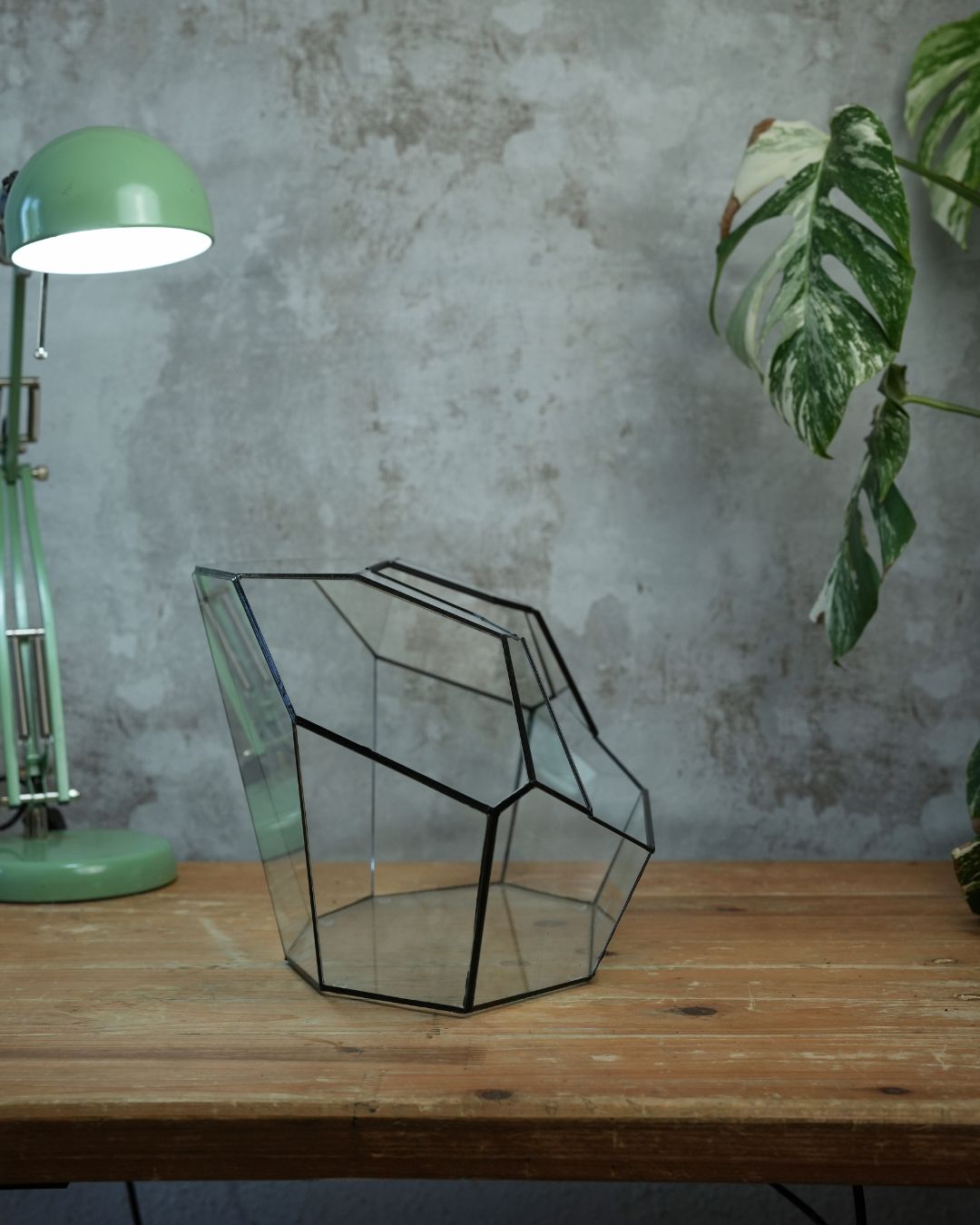 Ruby - Open front terrarium