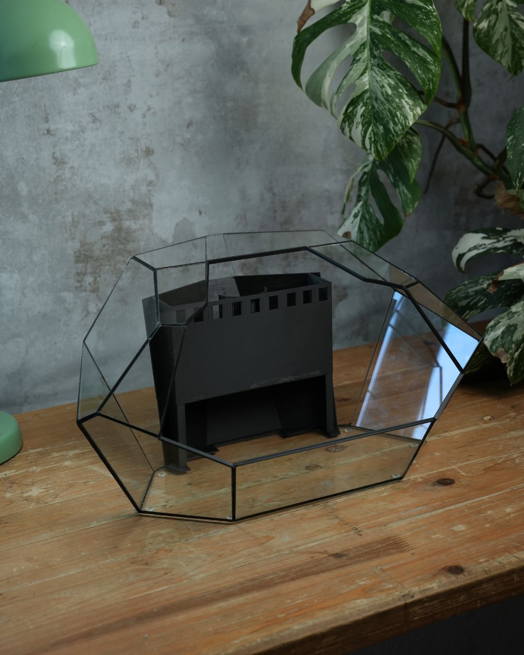 Ruby - Open front terrarium