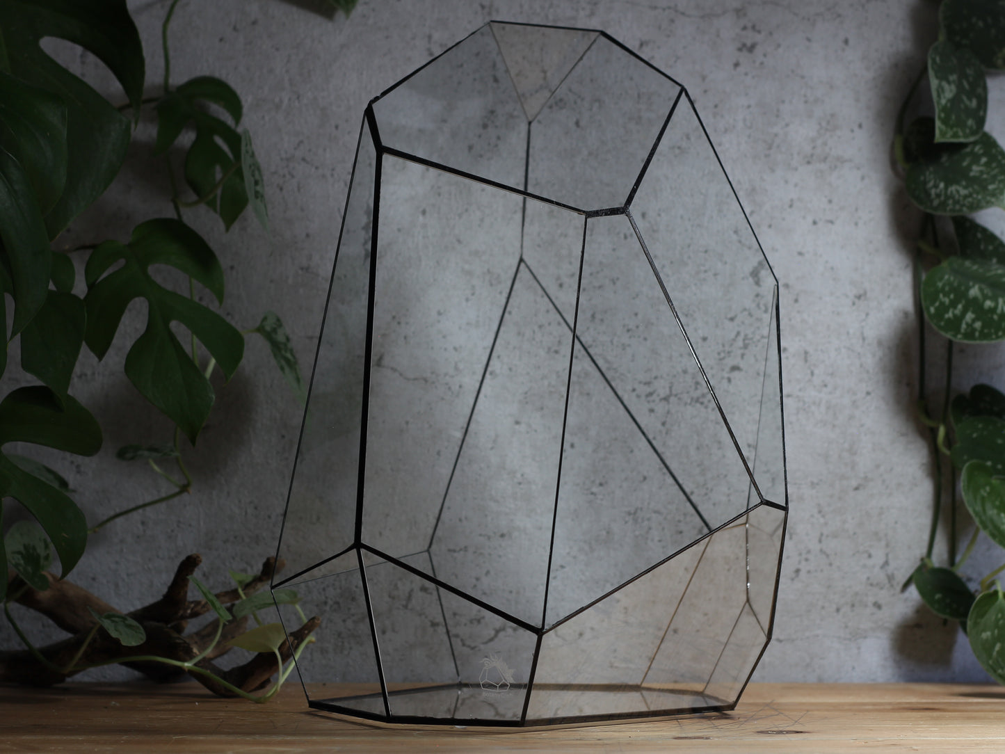 Quartz - Geometric Terrarium
