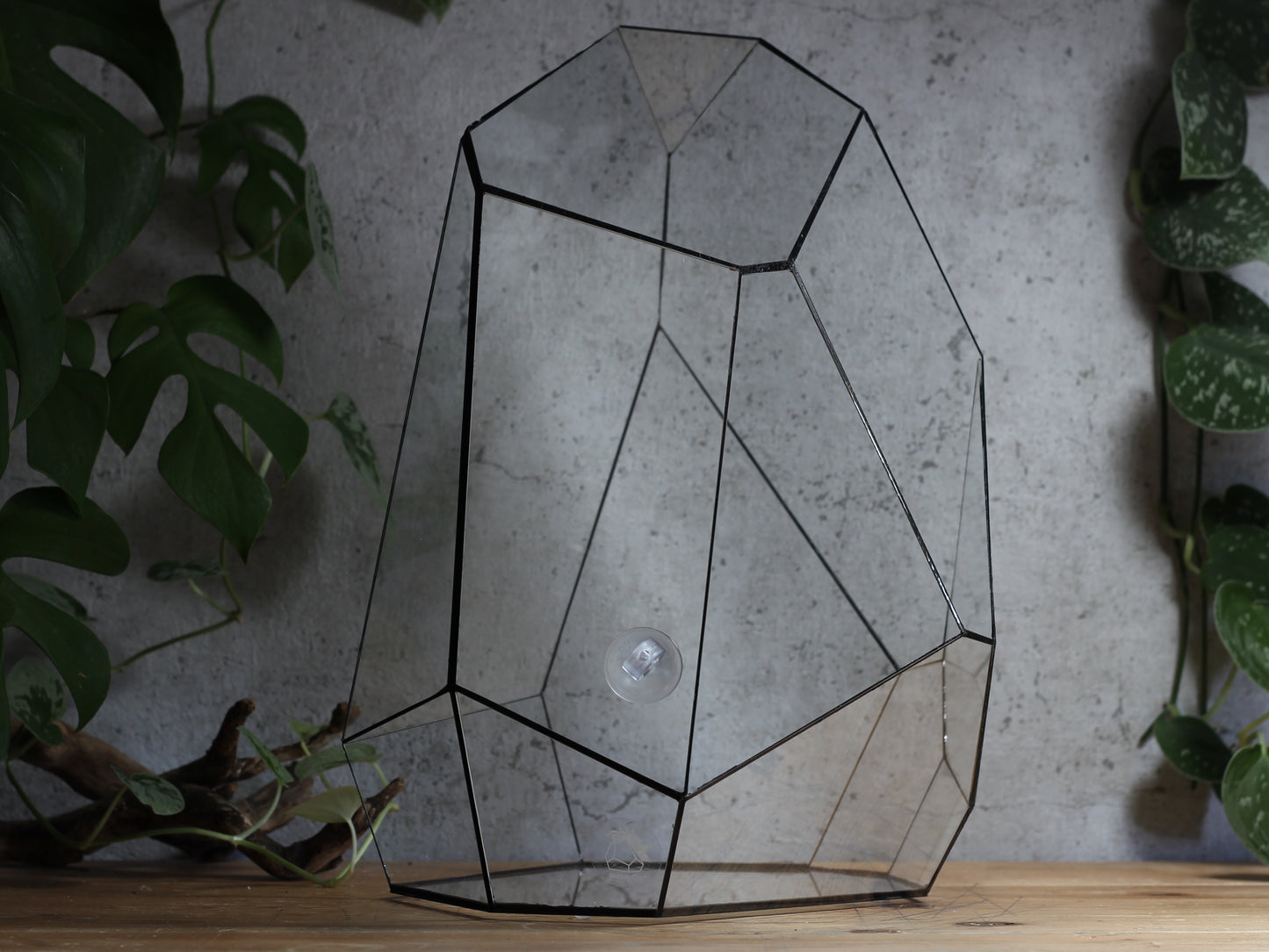 Quartz - Geometric Terrarium
