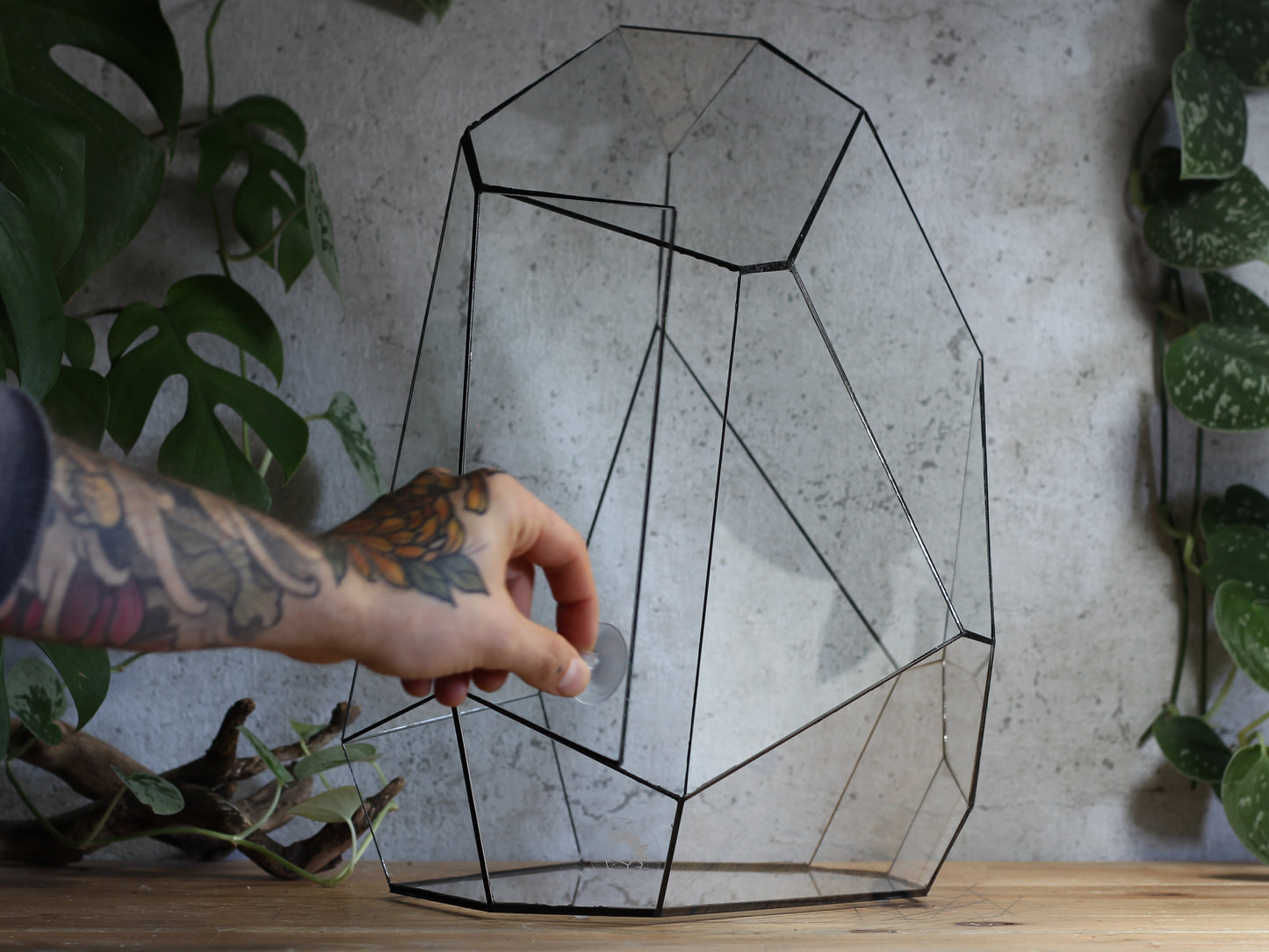 Quartz - Geometric Terrarium