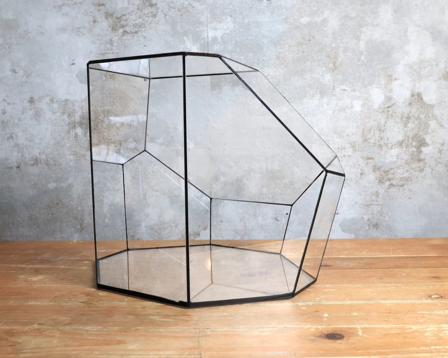 Obsidian - geometrisches Terrarium