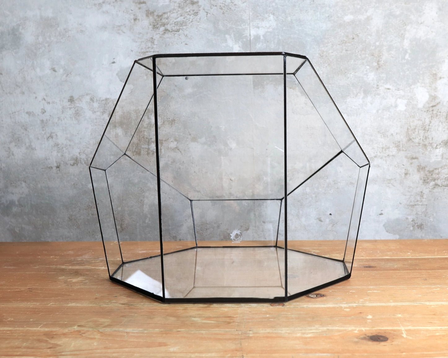 Obsidian - geometrisches Terrarium