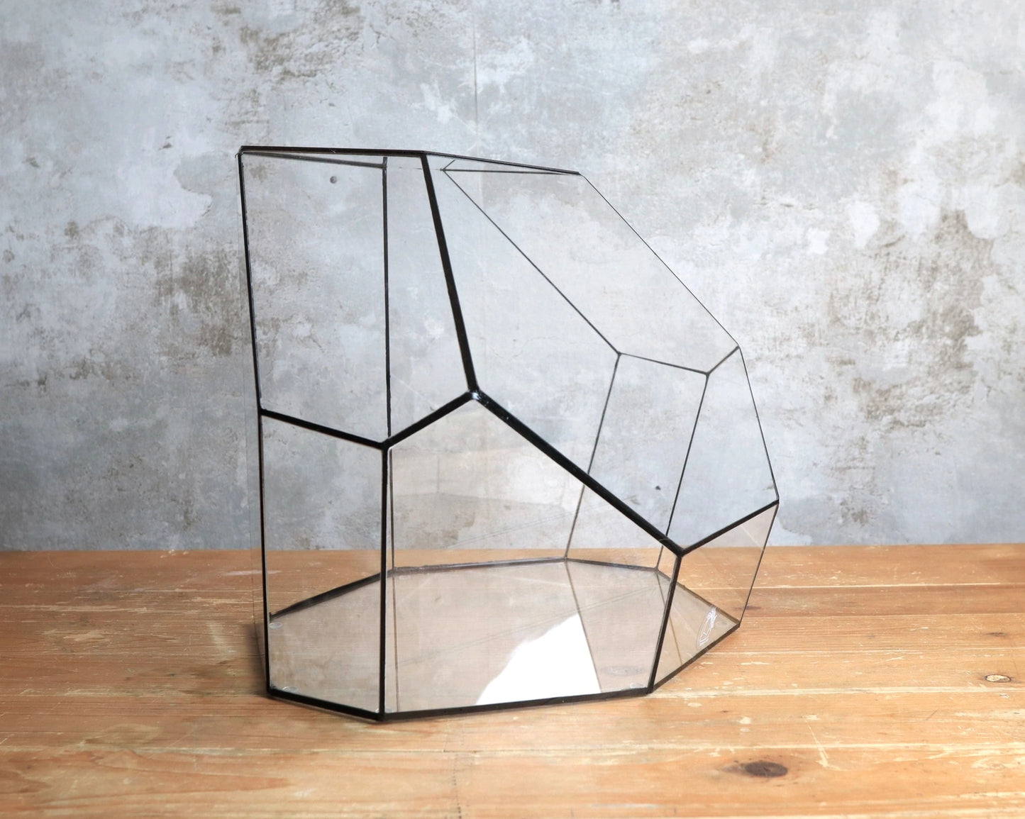 Obsidian - geometrisches Terrarium