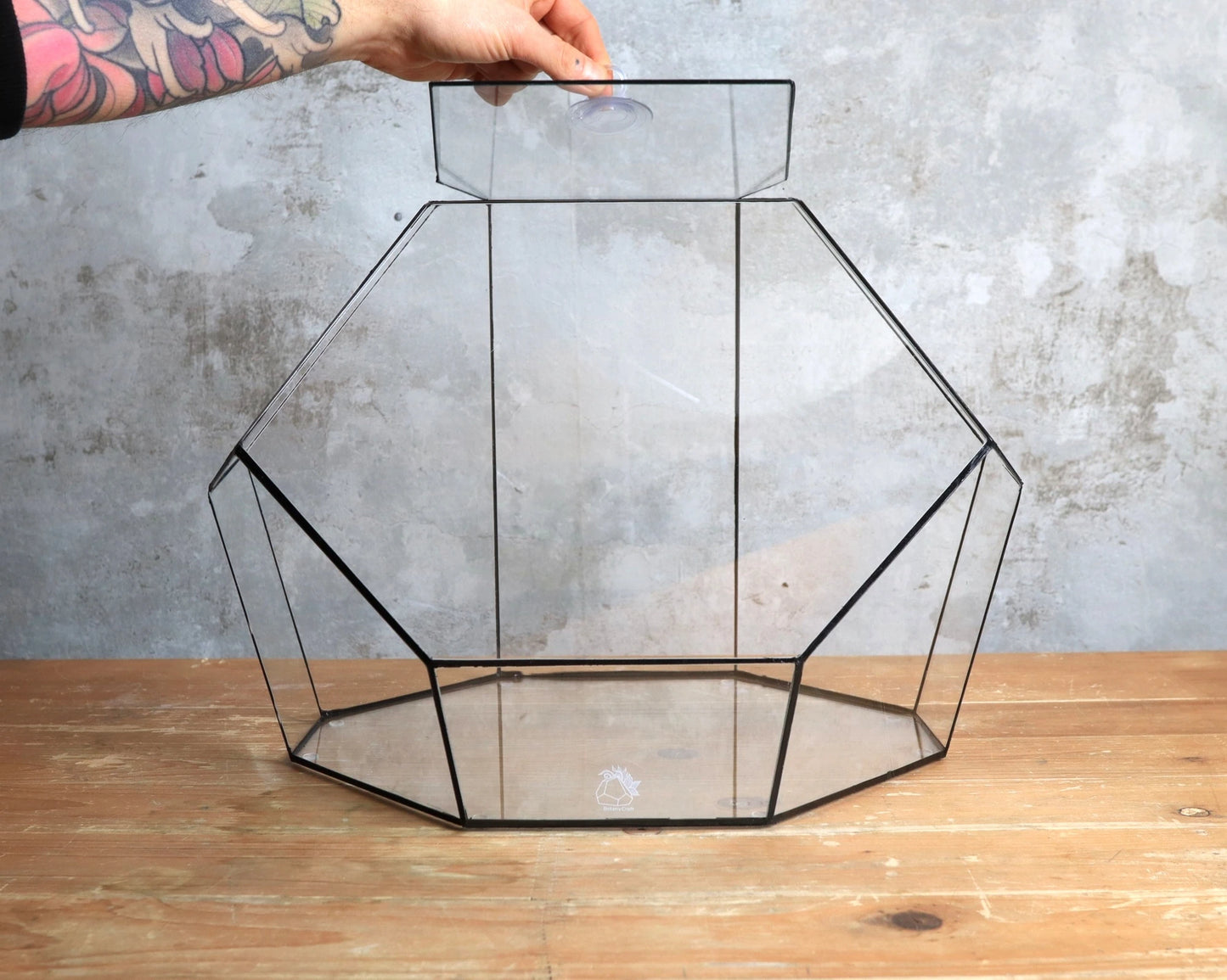 Obsidian - geometrisches Terrarium